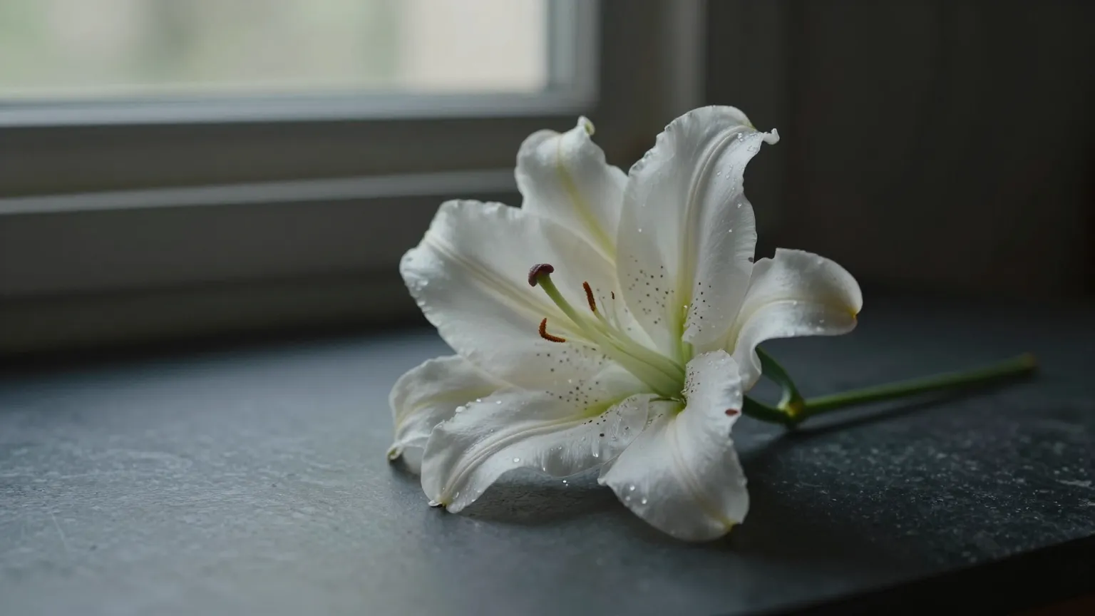 Wrongful Death representation in California